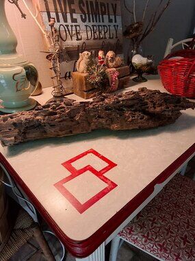 Driftwood Piece Boring Burrow Patterns Garden Art Dragon Worm Wood